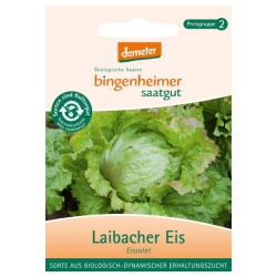 Eissalat Laibacher Eis Eissalat Laibacher Eis von Bingenheimer Saatgut