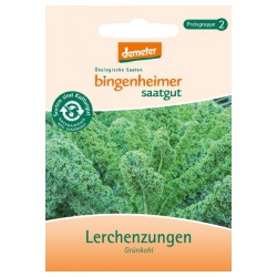 Grünkohl Lerchenzungen Grünkohl Lerchenzungen von Bingenheimer Saatgut