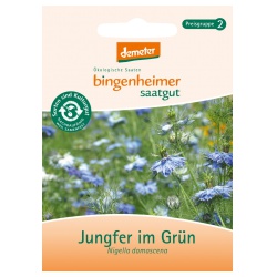 Jungfer im Grün von Bingenheimer Saatgut