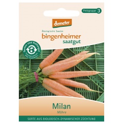 Karotten Milan von Bingenheimer Saatgut