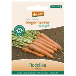 Karotten Rodelika von Bingenheimer Saatgut