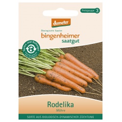 Karotten Rodelika Karotten Rodelika von Bingenheimer Saatgut