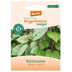 Klettersalat Malabar-Spinat Klettersalat Malabar-Spinat von Bingenheimer Saatgut