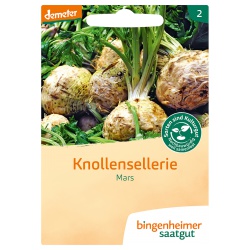 Knollensellerie Mars Knollensellerie Mars von Bingenheimer Saatgut