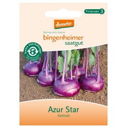 Kohlrabi Azur Star Kohlrabi Azur Star von Bingenheimer Saatgut