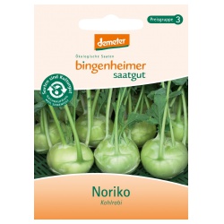 Kohlrabi Orinoko von Bingenheimer Saatgut