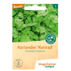 Koriander Koriander von Bingenheimer Saatgut