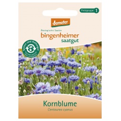 Kornblume von Bingenheimer Saatgut