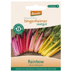 Mangold Rainbow von Bingenheimer Saatgut