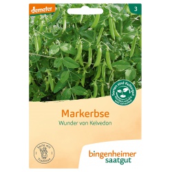 Markerbsen Wunder von Kelvedon Markerbsen Wunder von Kelvedon von Bingenheimer Saatgut