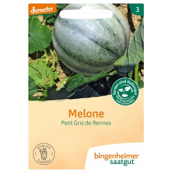 Melonen Petit Gris de Rennes von Bingenheimer Saatgut