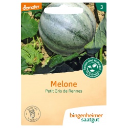 Melonen Petit Gris de Rennes Melonen Petit Gris de Rennes von Bingenheimer Saatgut