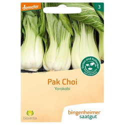 Pak Choi Yorokobi Pak Choi Yorokobi von Bingenheimer Saatgut