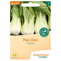 Pak Choi Yorokobi von Bingenheimer Saatgut