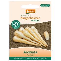 Pastinaken Aromata (Auslaufartikel) Pastinaken Aromata (Auslaufartikel) von Bingenheimer Saatgut