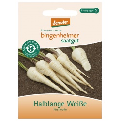Pastinaken Halblange Weiße Pastinaken Halblange Weiße von Bingenheimer Saatgut