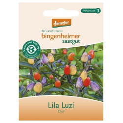 Peperoni Lila Luzi von Bingenheimer Saatgut