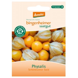 Physalis Schönbrunner Gold Physalis Schönbrunner Gold von Bingenheimer Saatgut