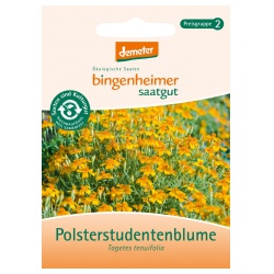 Polsterstudentenblume von Bingenheimer Saatgut