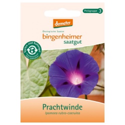 Prachtwinde von Bingenheimer Saatgut