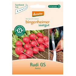 Radieschen-Saatband Rudi GS Radieschen-Saatband Rudi GS von Bingenheimer Saatgut