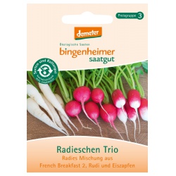 Radieschen-Trio von Bingenheimer Saatgut