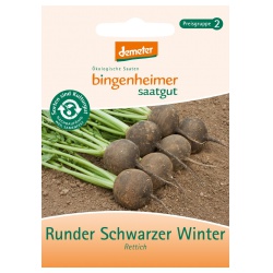 Rettich Runder Schwarzer Winter von Bingenheimer Saatgut