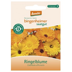 Ringelblume Ringelblume von Bingenheimer Saatgut