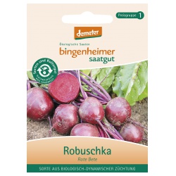 Rote Bete Robuschka von Bingenheimer Saatgut