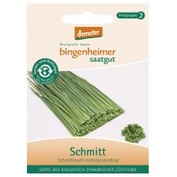 Schnittlauch Schmitt Schnittlauch Schmitt von Bingenheimer Saatgut