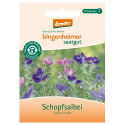 Schopfsalbei Schopfsalbei von Bingenheimer Saatgut