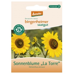Sonnenblume La Torre von Bingenheimer Saatgut