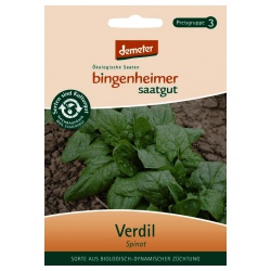 Spinat Verdil Spinat Verdil von Bingenheimer Saatgut