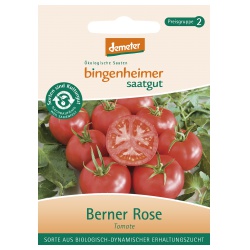 Tomaten Berner Rose von Bingenheimer Saatgut