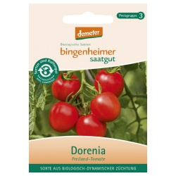 Tomaten Dorenia von Bingenheimer Saatgut