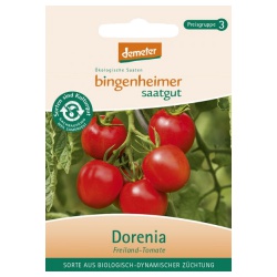 Tomaten Dorenia Tomaten Dorenia von Bingenheimer Saatgut