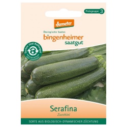 Zucchini Serafina von Bingenheimer Saatgut