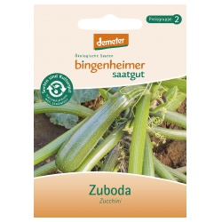 Zucchini Zuboda von Bingenheimer Saatgut