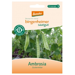 Zuckererbsen Ambrosia Zuckererbsen Ambrosia von Bingenheimer Saatgut