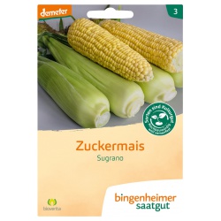 Zuckermais Sugrano Zuckermais Sugrano von Bingenheimer Saatgut