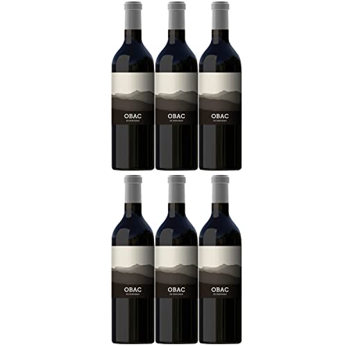 Binigrau Obac Magnum Rotwein Wein trocken Mallorca Spanien I Visando Paket (6 Flaschen) von Binigrau