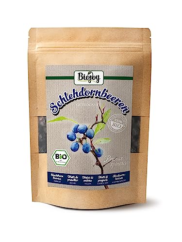 Biojoy BIO-Schlehdornbeeren (250 g), getrocknet und ganz, Schlehdorn Tee (Prunus spinosa) von Biojoy