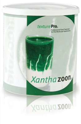 Biozoon texturePro Xanthazoon, 300g Verdickungs- und Geliermittel mit Xanthan von Biozoon