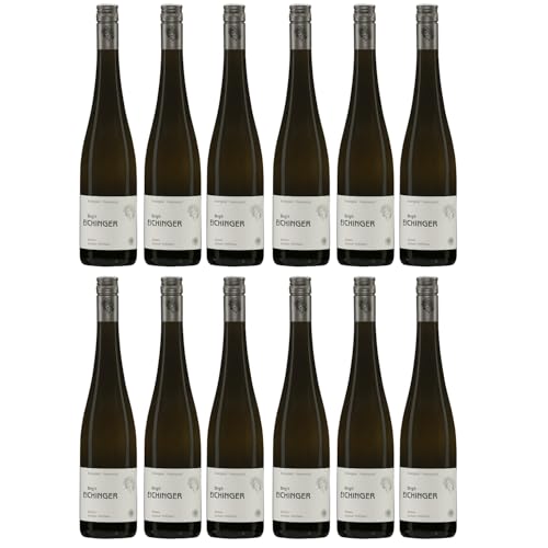 Birgit Eichinger Grüner Veltliner Strass Kamptal DAC Weißwein Wein trocken Österreich I Versanel Paket (12 x 0,75l) von Birgit Eichinger