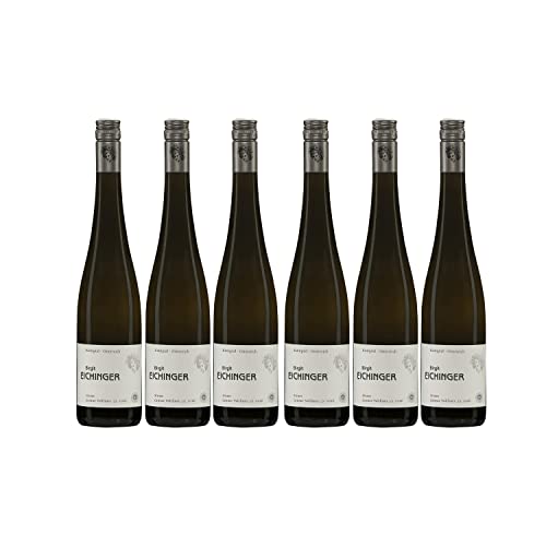 Birgit Eichinger Grüner Veltliner Strass Kamptal DAC Weißwein Wein trocken Österreich I Versanel Paket (6 x 0,75l) von Birgit Eichinger