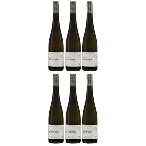 Birgit Eichinger Grüner Veltliner Strass Kamptal DAC Weißwein Wein trocken Österreich I Versanel Paket (6 x 0,75l) von Birgit Eichinger