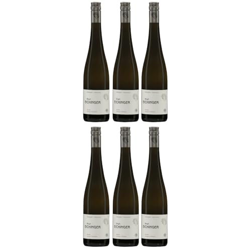 Birgit Eichinger Grüner Veltliner Strass Kamptal DAC Weißwein Wein trocken Österreich I Versanel Paket (6 x 0,75l) von Birgit Eichinger