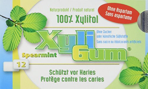 Birkengold Xyligum Grüne Minze (12 Stück), 6er Pack (6 x 15 g) von Birkengold