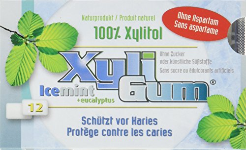 Birkengold Xyligum Icemint (12 Stück), 3er Pack (3 x 15 g) von Birkengold