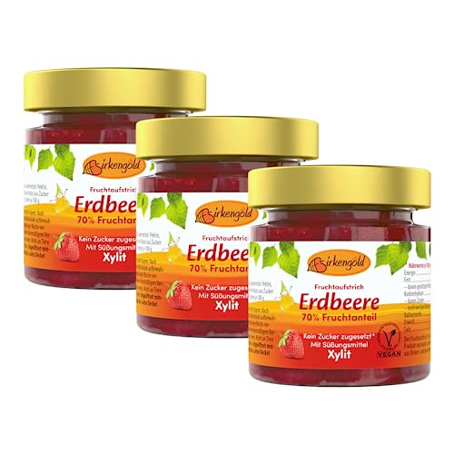 Birkengold Erdbeer Marmelade 3 x 200 g | ohne Zuckerzusatz | mit europäischem Xylit gesüßt | 70 % Fruchtanteil | mit Bio Früchten | vegan von Birkengold